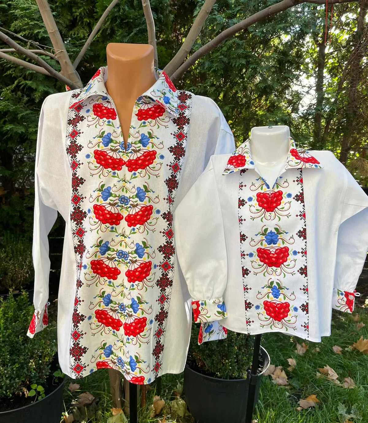 Set ii traditionale Cornel